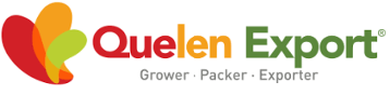 quelen export@2x