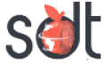 sdt-1.png